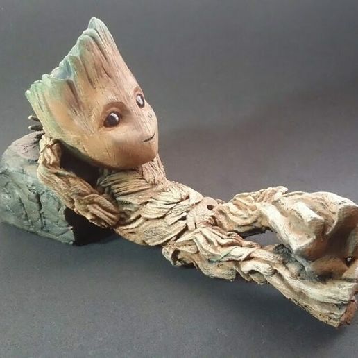 20180511_075347.jpg Groot