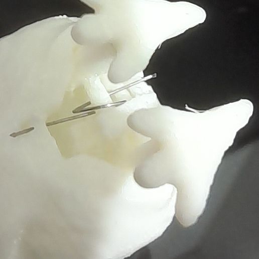 chicken7.jpg chicken keychain