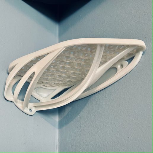 IMG_2355.jpg Corner Shelf 2021