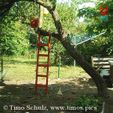 image001-2.jpg Ladder "to the apple tree"