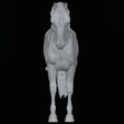 IMG_5078.png Mule,warmblood, and Roman nose horses