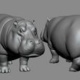 003.jpg Hippo