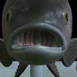 Rainbow-trout-statue-27.png fish rainbow trout / Oncorhynchus mykiss open mouth statue detailed texture for 3d printing