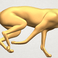 TDA0529 Skinny Dog 01 A01 ex800.png Skinny Dog 01