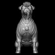 ZGrab09.jpg DOGPOOL