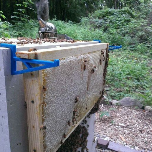 WP_20140726_004_display_large.jpg Beehive Frame Hook