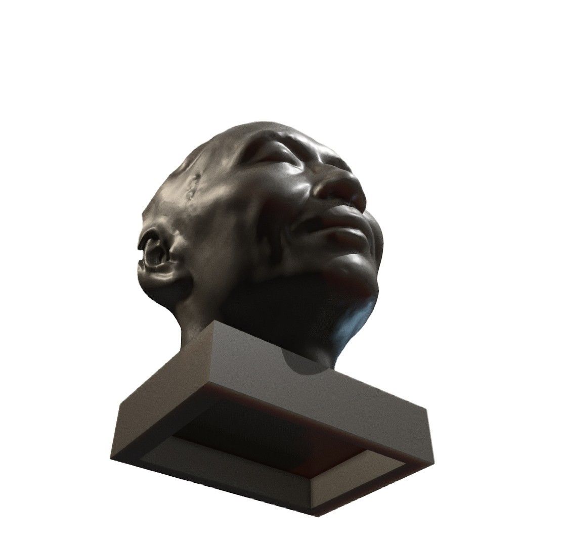 My face - Download Free 3D model by mwopus (@mwopus) - Sketchfab20181127-007532.jpg Download STL file My face • 3D printing object, MWopus