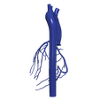 3.png 主动脉和冠状动脉 3D 模型 - 6 件装
