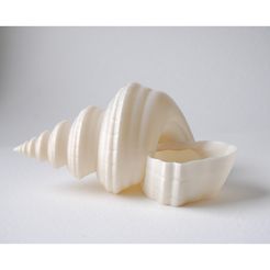 01.jpg 3D file Shell Planter・3D print design to download, iagoroddop