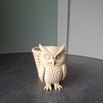fb3348f4-c53b-451f-9fc9-6f01a5445506.jpg Cute Owl Planter. With commercial license