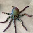 Octopus 2.0