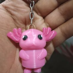 IMG_20230319_215558.jpg Файл STL Брелок Ajolote・3D-печать дизайна для загрузки