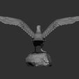 seagull-on-the-stone14.jpg Seagull on the stone 3D print model