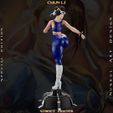 z-24.jpg Chun Li - Street Fighter - Collectible