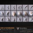60-VDM-and-Alpha-Hair-and-Fur-Brushes-for-ZBrush-Sculpted-By-Yacine-BRINIS-Volume-01-Set-004.jpg 60 VDM and Alpha Texture Hair and Fur Brushes Volume 01