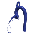 3.png 主动脉和冠状动脉 3D 模型 - 6 件装