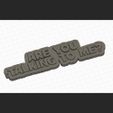 1.jpg Are you talking to me keychain!