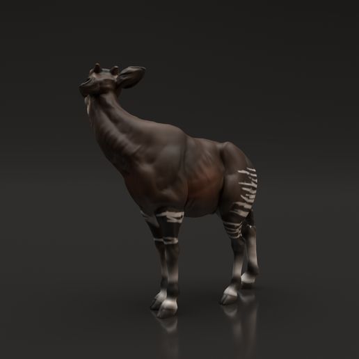 🦒 Okapi・ STL File for ・Cults