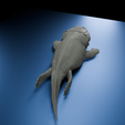 0010.png Ichthyostega: Der erste Wanderer - Wissenschaftlich korrekter Tetrapode aus dem Devon
