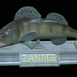 zander-statue-4-mouth-open-16.png fish zander / pikeperch / Sander lucioperca open mouth statue detailed texture for 3d printing