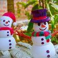 IMG20221120081003_01.jpg Snowman - Articulated Fidget/Decorative Toys