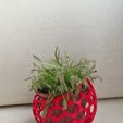 IMG_20200416_113241.jpg Holed Flower Pot