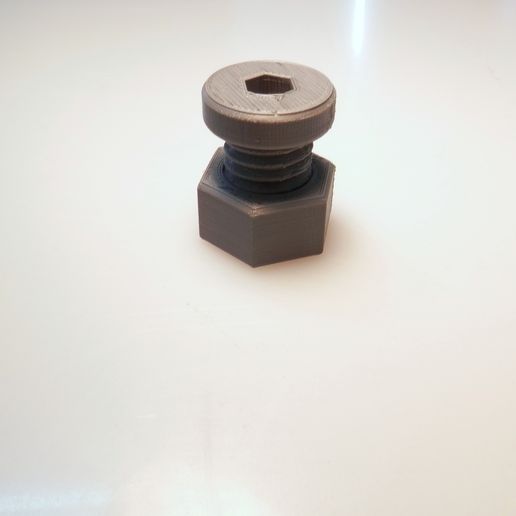 P9220190.JPG Tornillo