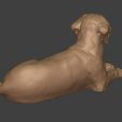 I10.jpg Dog - Labrador Statue