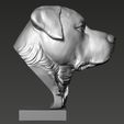 03.jpg Rottweiler Head Sculpture