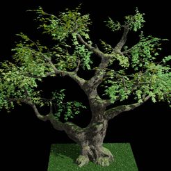 blender_render.jpg STL file tree for Diorama・3D printing template to download