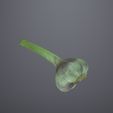 344b26a4b7ef90c6d389d0ab990a30b7.jpg Garlic , Garlic Lowpoly - Perfect for Game Assets & 3D Projects