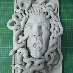 20210609_172759.jpg STL file Medusa Head・3D printing idea to download, Canyon_Designs