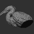 5.jpg Grey Heron bust