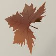 7.jpg plane tree leaf