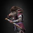 Spl02.jpg Master Splinter