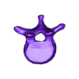 VertebralColumn14.stl Skeleton vertebral column torso bones (90 bones)