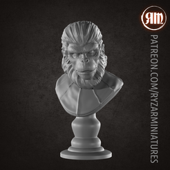 corneliusthumb.png STL-Datei Cornelius-Büste・3D-druckbares Modell zum herunterladen