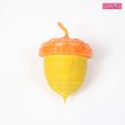 a5.jpg ACORN FRUIT | STORAGE BOX FOR SCRAT | Commercial Use