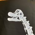 received_375113811530683.jpeg Brachiosaurus  Skeleton