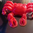 photo_2020-12-19_11-57-41.jpg Articulated Crab - Articulated crab FLEXI PRINT-IN-PLACE