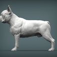 boston-terrier2.jpg boston terrier 3D print model