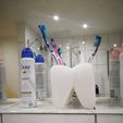 753.jpeg Toothbrush Cup/ Tooth/ Tooth