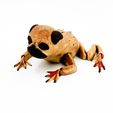 IMG_4432.jpg Pug Flexi Toad Frog articulated print-in-place no supports dog