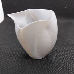 IMG_20181204_222635[1].jpg 3D file Design Vase By Redorstone・3D printable model to download
