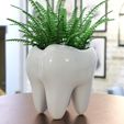 Teeth-Pots.jpg Teeth Planter - indoor plant pot decor