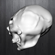Defi2.png Human skull