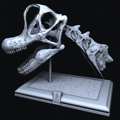 Schermafbeelding_20221207_084527.png STL-Datei Brachiosaurus-Schädel・3D-druckbares Modell zum Herunterladen