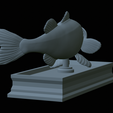 Bass-mouth-2-statue-4-26.png fish Largemouth Bass / Micropterus salmoides in motion open mouth statue detailed texture for 3d printing