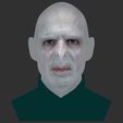 37.jpg Lord Voldemort bust ready for full color 3D printing