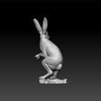 r3.jpg rabbit - realistic rabbit - decorative rabbit